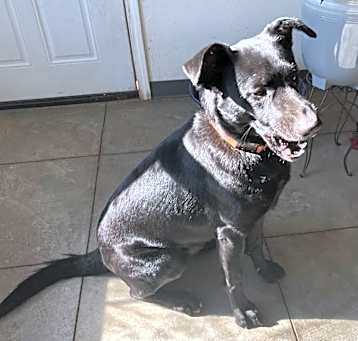 Photo of Journey (Zeus)