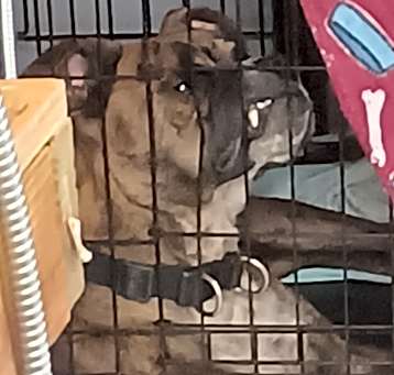 Photo of Apollo 
