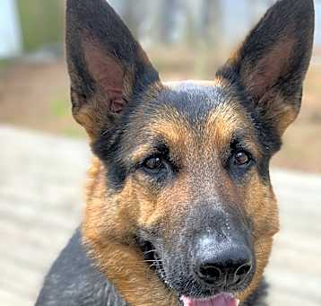 Photo of Case