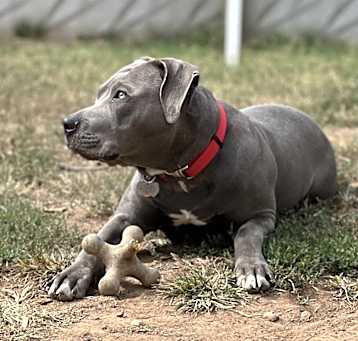 Photo of Wendell