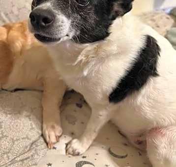 Photo of Clementine