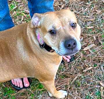 Photo of Sadie