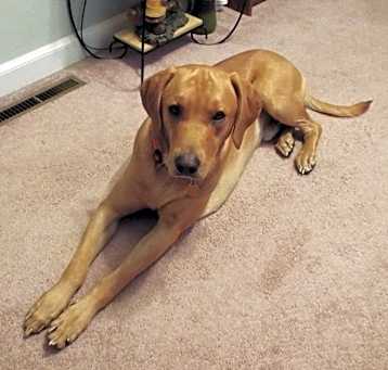 Photo of Jake