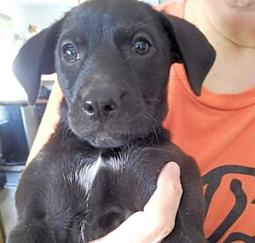 Photo of Jolly Jake