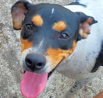 Photo of Shelby