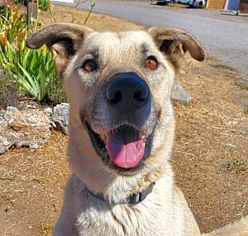 Photo of Floyd