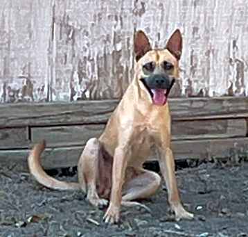 Photo of Mr. Banks