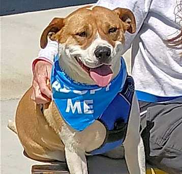 Photo of Bruno