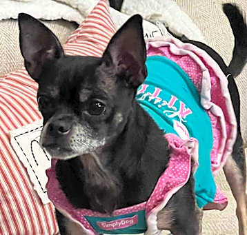 Photo of Chloe