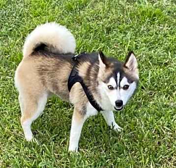 Photo of Parker