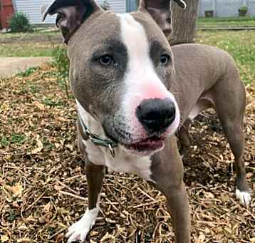 Photo of Billy