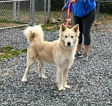 Photo of Cooper