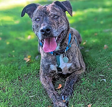 Photo of Rockwell