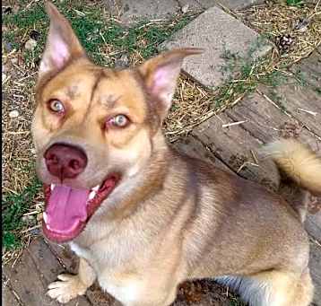 Photo of Timber