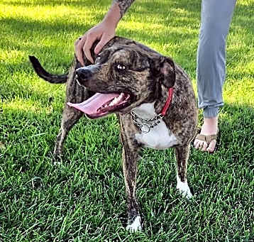Photo of Jinx