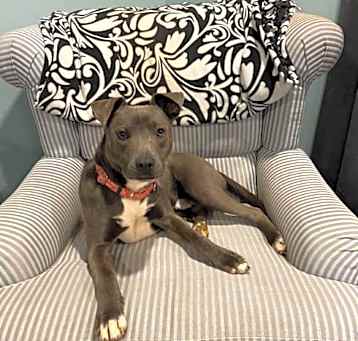 Photo of Blue