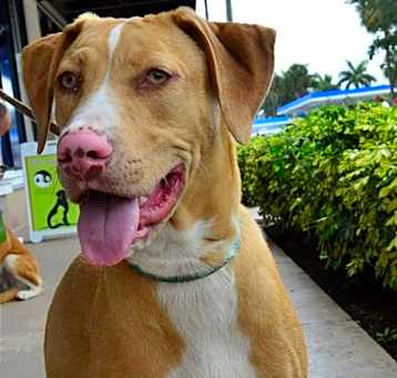Photo of Lenox