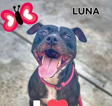Photo of Lua