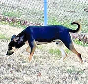Photo of Nolan