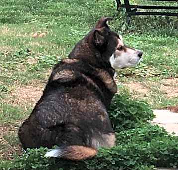 Photo of Nakita 
