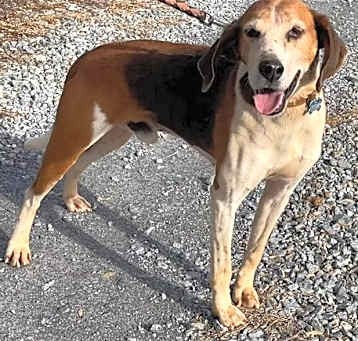 Photo of Alexander:  Not At the Shelter (Wendy)