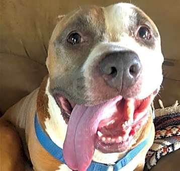 Photo of MAXIMUS (MAX)