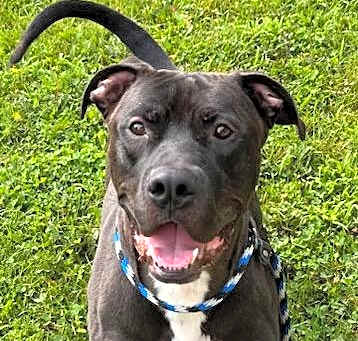 Photo of Bently