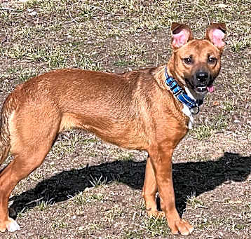 Photo of Cora