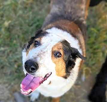 Photo of Lucy