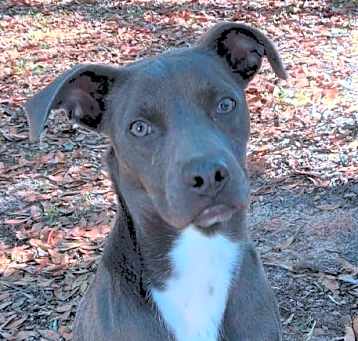 Photo of Flint
