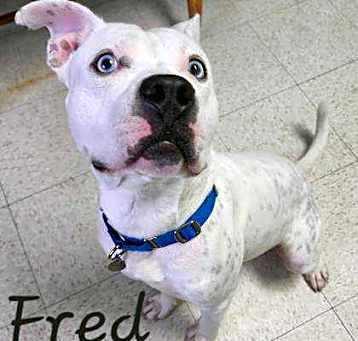 Photo of Fred