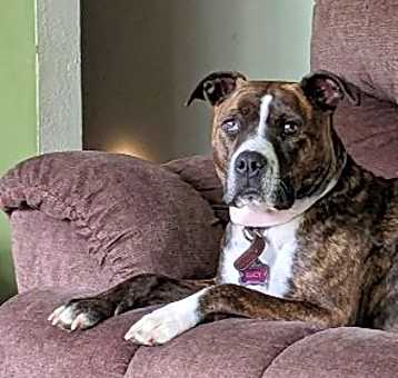 Photo of Lucy
