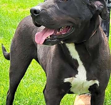 Photo of WRANGLER
