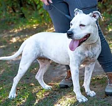 Photo of Snowflake