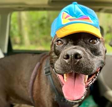 Photo of Sweetie