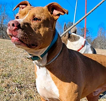 Photo of REBEL