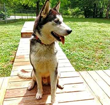 Photo of Drogo