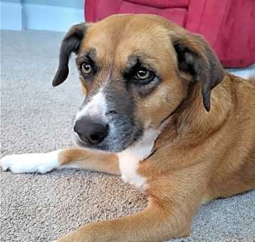 Photo of Izzy