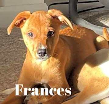 Photo of Frances