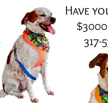 Photo of Sid $1000 Reward