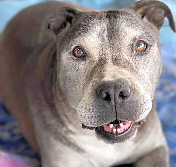 Photo of Sammie