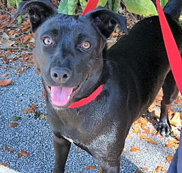 Photo of Jasmine