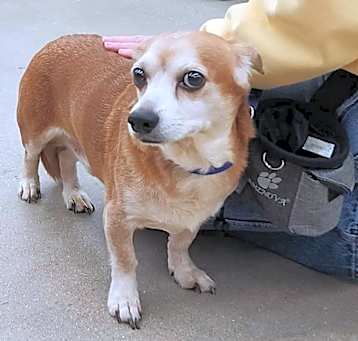 Photo of Zeus