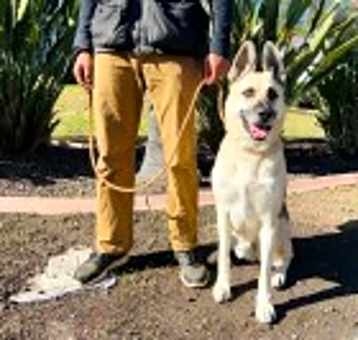 Photo of Max