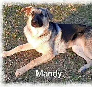Photo of Mandy