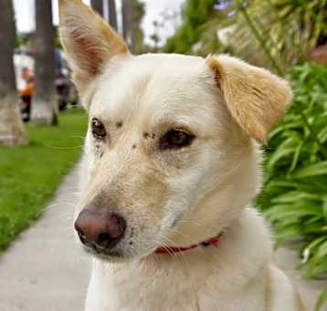 Photo of Reggie