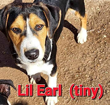 Photo of Lil Earl