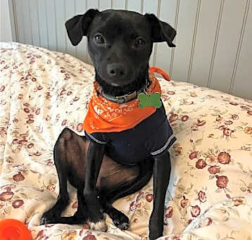 Photo of Rosa