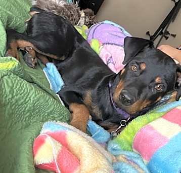 Photo of Xena
