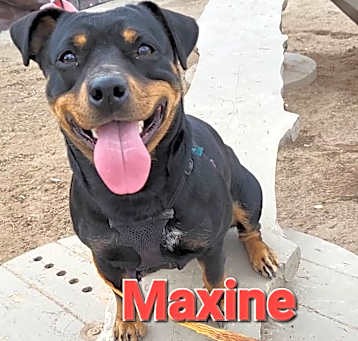 Photo of Maxine
